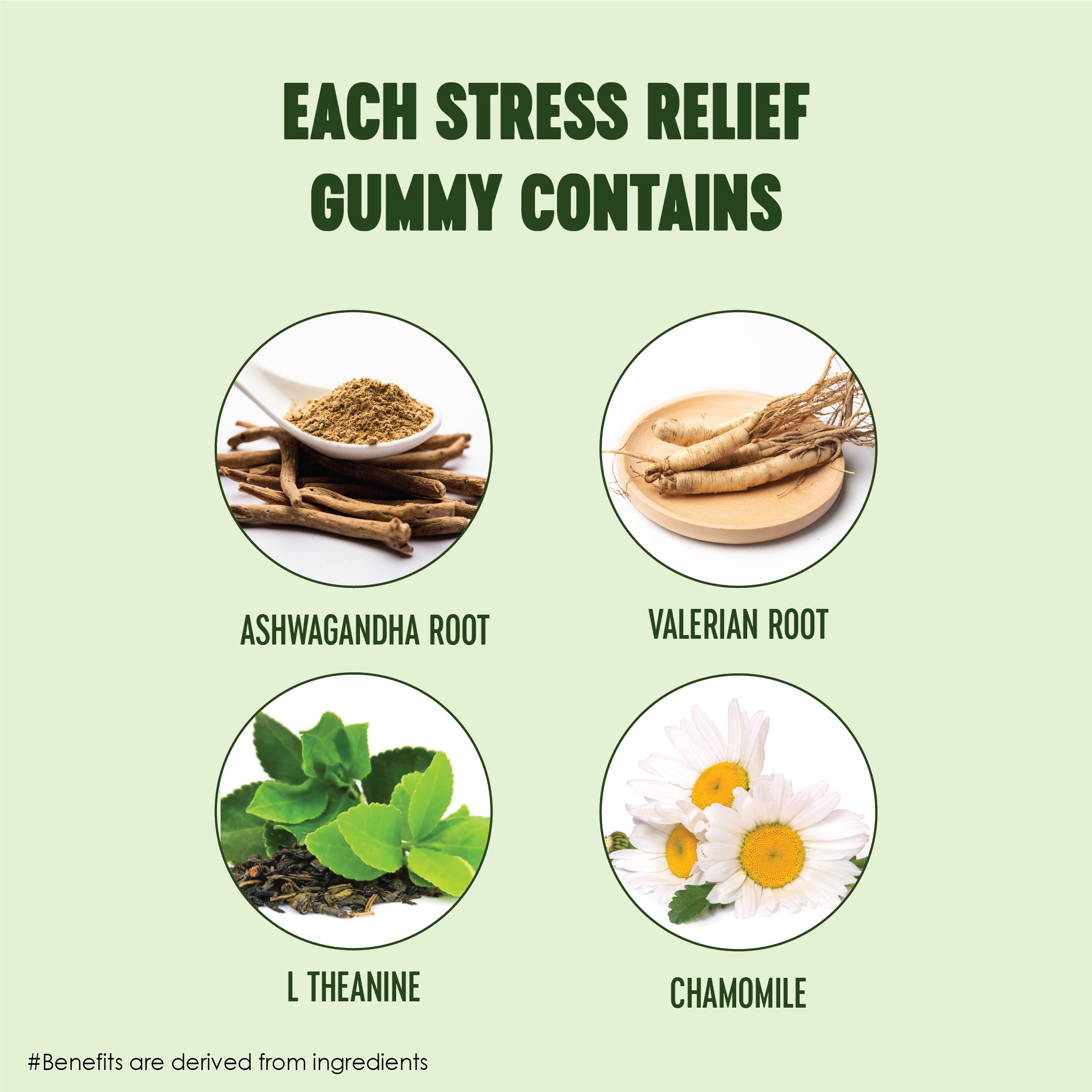 Buy Stress Relief Tablets in India, Buy Stress Relief Tablets, Stress Relief Tablets in India, Stress Relief Tablets, Anxiety Relief Tablets, SilverEdge