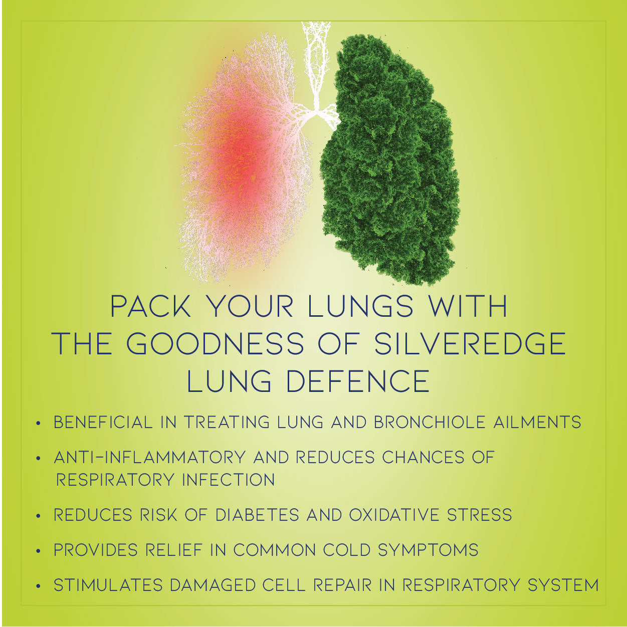 Lung Defence